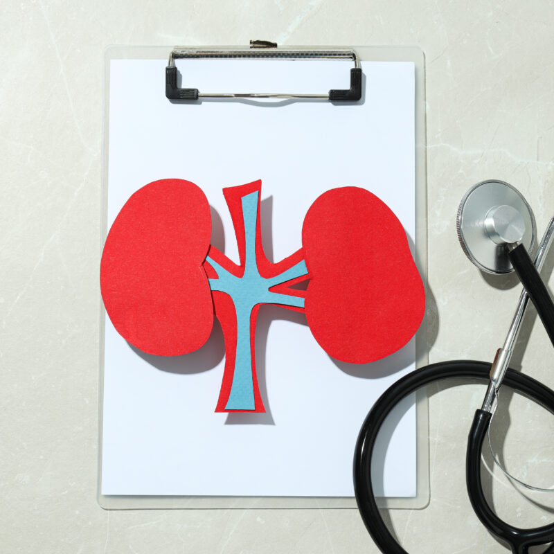 When Kidneys Stop Working: Understanding Kidney Failure and What Comes Next
